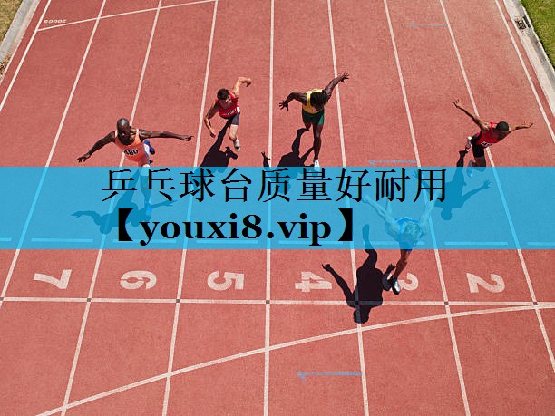乒乓球台质量好耐用