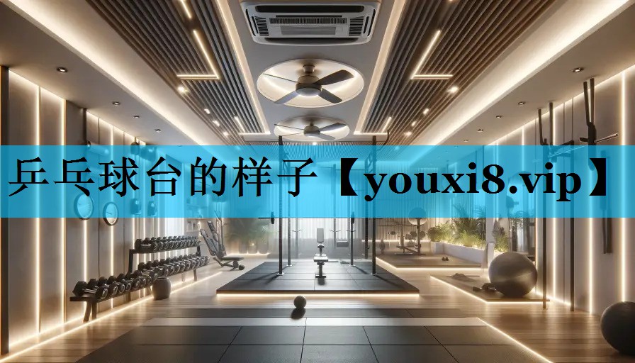 乒乓球台的样子