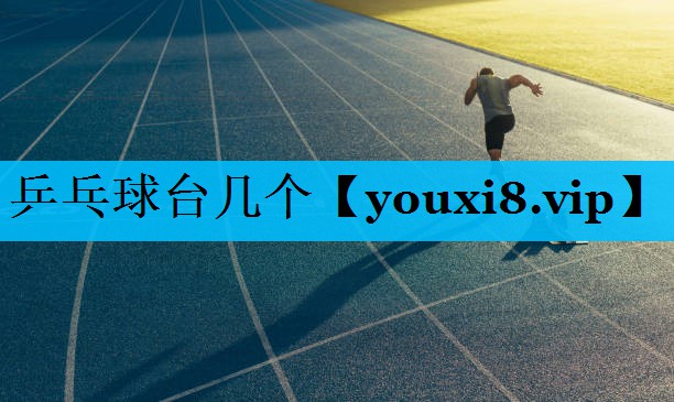 乒乓球台几个