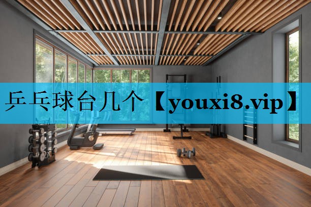 乒乓球台几个